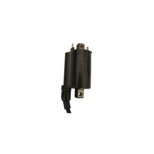 Bobine accensione esterne YAMAHA Grizzly 700