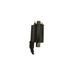 Bobine accensione esterne YAMAHA Grizzly 700