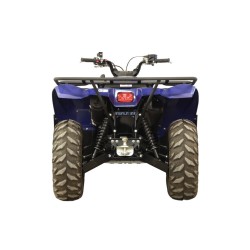 Set completo piastre paramotore (plastica): Yamaha Kodiak 700