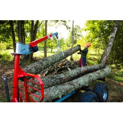 Pinza per tronchi - Pinza di sollevamento