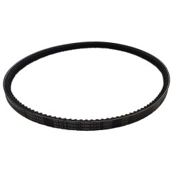 Cinghia dentata BX 41,5 17x1054Li / 1099Ld (B42), pz