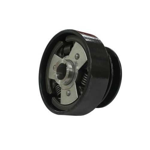 Frizione centrifuga 25mm