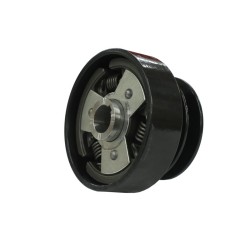 Frizione centrifuga 25mm