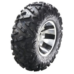 24x11-10 SUNF A-033 6PR