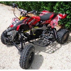 Pedane Laterali Q1 Cromate Can-Am DS 450 EFI