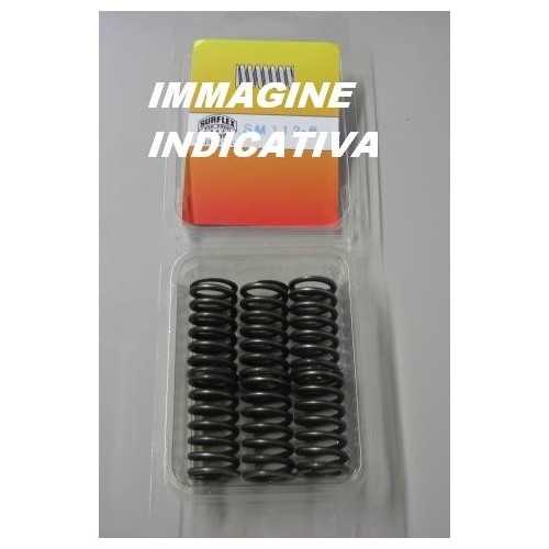 SURFLEX Frizione - Molle Rinforzate HONDA TRX 400 EX