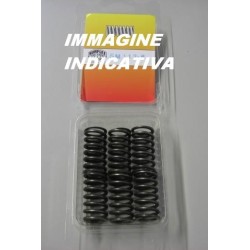 SURFLEX Frizione - Molle Rinforzate HONDA TRX 400 EX